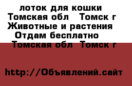 лоток для кошки - Томская обл., Томск г. Животные и растения » Отдам бесплатно   . Томская обл.,Томск г.